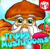 Mushrooms на Чемпіон
